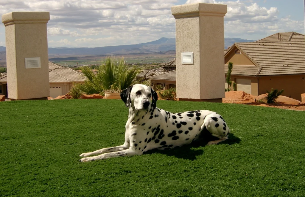 A vibrant outdoor space featuring lush artificial grass