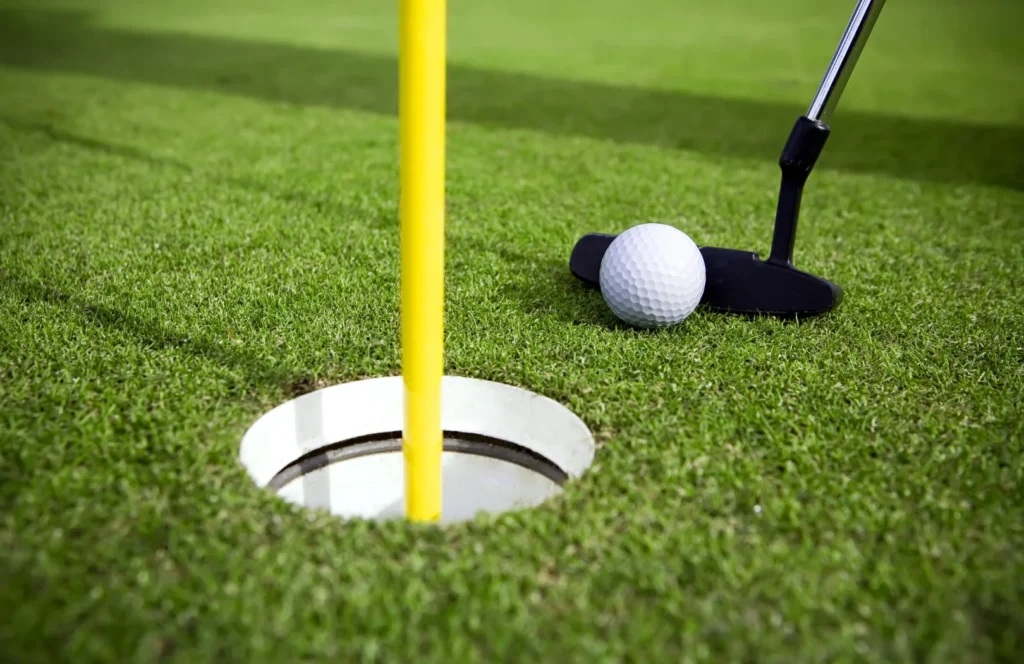 A vibrant backyard scene featuring a lush synthetic turf putting green